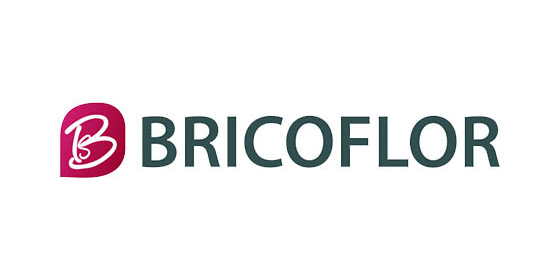 Logo Bricoflor