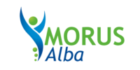 Logo Morus Alba 